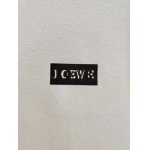 2025年12月22日秋冬新作LOEWEニットのセーター高品質人気商品/XQY工場