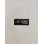 2025年12月22日秋冬新作LOEWEニットのセーター高品質人気商品/XQY工場