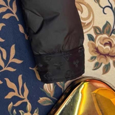 2026年1月2日新作Louis Vuittonダウンジャケット安い人気/TY工場