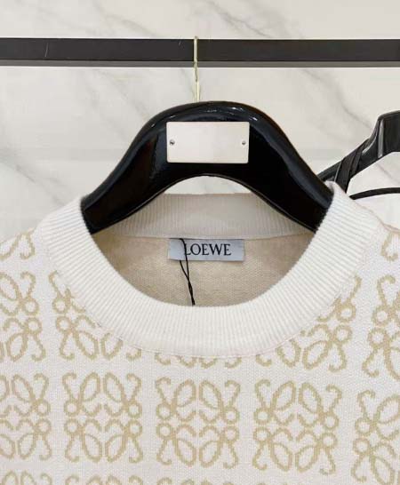 2026年1月28日入荷新作Loeweセーター大人気 激安/zh工場