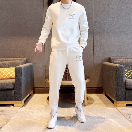 2026年1月30日入荷新作ARCTERYXセット上下大人気 激安/zh工場