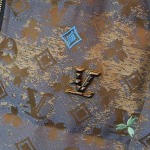 2026年1月2日新作Louis Vuittonダウンジャケット安い人気/TY工場