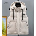 2026年1月9日DIOR 新作 羽毛綿のベストJX工場