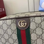 2026年1月13日新作高品質Gucciバッグ24x 15x 7/pvc /GQ工場