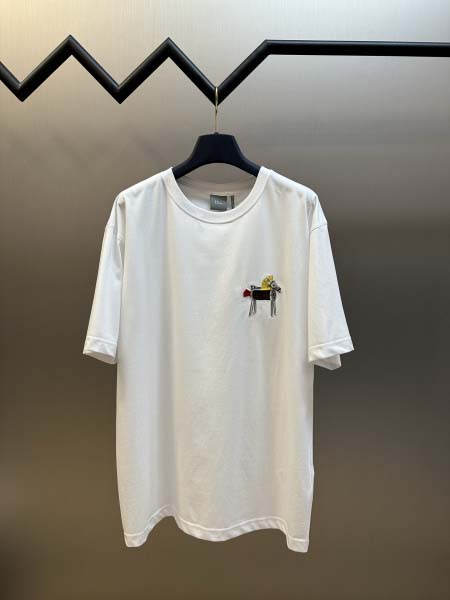 2026年1月19日新作Dior半袖 tシャツ高品質人気商品...