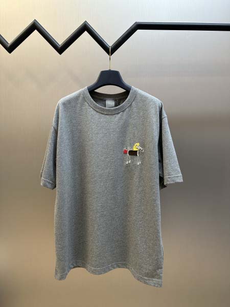 2026年1月19日新作Dior半袖 tシャツ高品質人気商品...