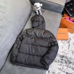 2026年1月20日新作Louis vuittonダウンジャケット高品質人気商品/誕生日プレゼント/FF工場