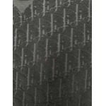 2026年1月21日新作Dior半袖 tシャツ高品質人気商品/誕生日プレゼント/FF工場