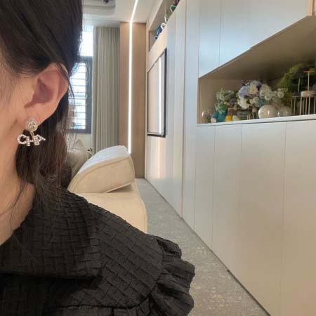 2026年2月3日入荷新品Chanelピアスギフト/誕生日/記念品/アクセサリーxin工場