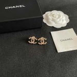 2026年2月2日入荷新品シャネルピアスギフト/誕生日/記念品/アクセサリーxin工場