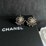 2026年2月2日入荷新品シャネルピアスギフト/誕生日/記念品/アクセサリーxin工場