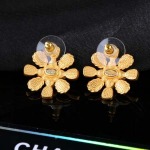 2026年2月3日入荷新品Chanelピアスギフト/誕生日/記念品/アクセサリーxin工場