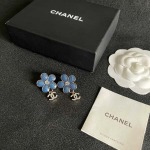2026年2月3日入荷新品Chanelピアスギフト/誕生日/記念品/アクセサリーxin工場