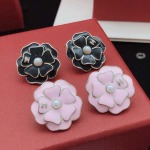 2026年2月4日入荷新品Chanelピアスギフト/誕生日/記念品/アクセサリーxin工場