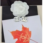 2026年2月4日入荷新品Chanelピアスギフト/誕生日/記念品/アクセサリーxin工場