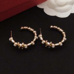 2026年2月4日入荷新品Chanelピアスギフト/誕生日/記念品/アクセサリーxin工場