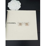 2026年2月4日入荷新品Chanelピアスギフト/誕生日/記念品/アクセサリーxin工場