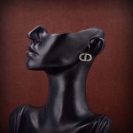 2026年2月5日入荷新品Diorピアスギフト/誕生日/記念品/アクセサリーxin工場