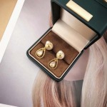 2026年2月5日入荷新品Diorピアスギフト/誕生日/記念品/アクセサリーxin工場