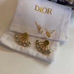 2026年2月5日入荷新品Diorピアスギフト/誕生日/記念品/アクセサリーxin工場