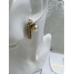 2026年2月5日入荷新品Diorピアスギフト/誕生日/記念品/アクセサリーxin工場