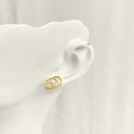 2026年2月5日入荷新品Diorピアスギフト/誕生日/記念品/アクセサリーxin工場