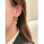 2026年2月5日入荷新品Diorピアスギフト/誕生日/記念品/アクセサリーxin工場