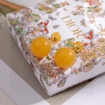 2026年2月5日入荷新品Diorピアスギフト/誕生日/記念品/アクセサリーxin工場