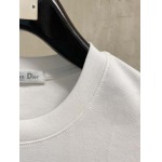2026年3月19日春夏新作Dior半袖 tシャツ原版復刻高級素材/A5工場