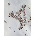 2026年3月28日入荷新作Louis Vuitton半袖Tシャツ春夏高品質超厳選★入手困難/LD工場