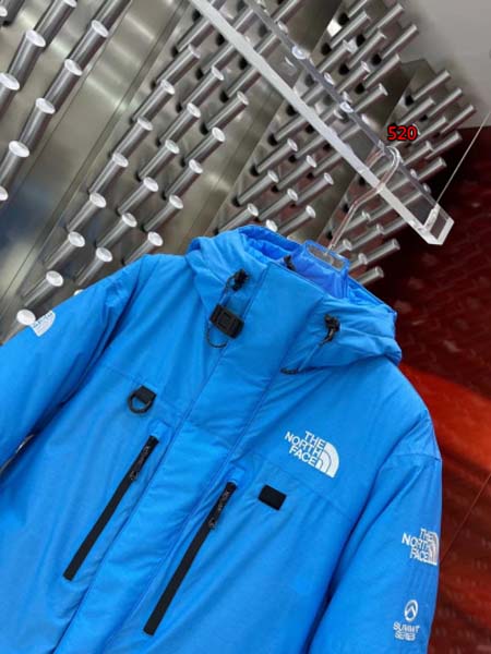 2023年11月17日秋冬高品質新品入荷 The North Face ダウンジャケット520工場 XS一XL