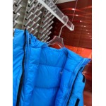 2023年11月17日秋冬高品質新品入荷 The North Face ダウンジャケット520工場 XS一XL