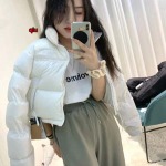 2023年11月21日秋冬新品入荷The North Face女性 ダウンジャケットQIU工場