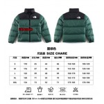 2023年11月21日秋冬新品入荷The North Face ダウンジャケットfangao工場