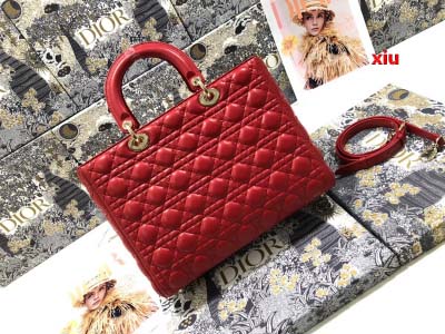 2025年早春高品質新品入荷 ディオール バッグ xiu工場