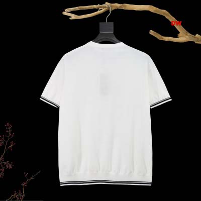 2025年1月20日春夏新品入荷Dolce&Gabbana 半袖 TシャツDW工場