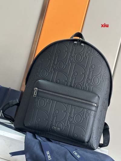 2025年早春高品質新品入荷 ディオール バッグ xiu工場