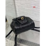 2025年早春高品質新品入荷 ディオール バッグ xiu工場