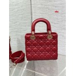 2025年早春高品質新品入荷 ディオール バッグ xiu工場