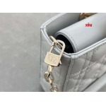 2025年早春高品質新品入荷 ディオール バッグ xiu工場