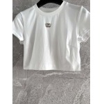 2025年2月5日新作DGTシャツ
