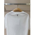 2025年2月7日発売の新作DiorTシャツです
