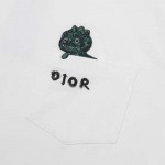 2025年2月21日高品質復刻新品Dior半袖Tシャツ  FF工場