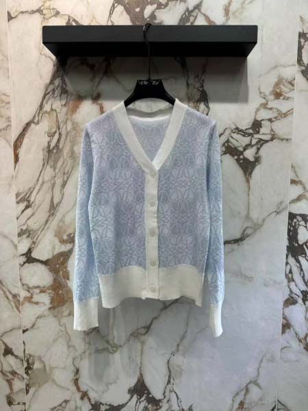 2025年3月23日入荷春夏新作loeweニット can工場