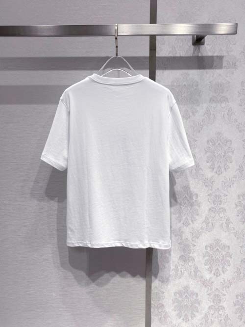 2025年3月26日入荷春夏高品質新作Dior半袖 tシャツTF工場