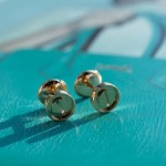 2025年3月9日入荷新品Cartierピアスギフト/誕生日/記念品/アクセサリーxin工場