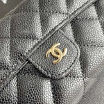 2025年3月17日新品バッグChanel  18x10.5x3.5cm A50076  zy工場