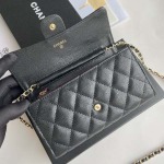 2025年3月17日新品バッグChanel  18x10.5x3.5cm A50076  zy工場