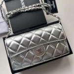 2025年3月17日新品バッグChanel  18x10.5x3.5cm A50076  zy工場