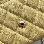 2025年3月17日新品 バッグChanel  18x10.5x3.5cm A50076   zy工場